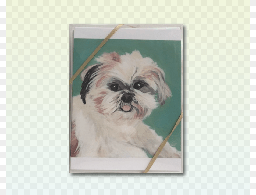 Shih Tzu, Animal, Mammal, Pet, Dog Clipart PNG