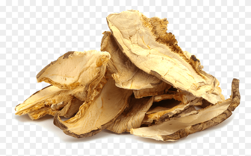 853x508 Shiitake Scheiben Hen Of The Wood, Plant, Food, Fungus HD PNG Download
