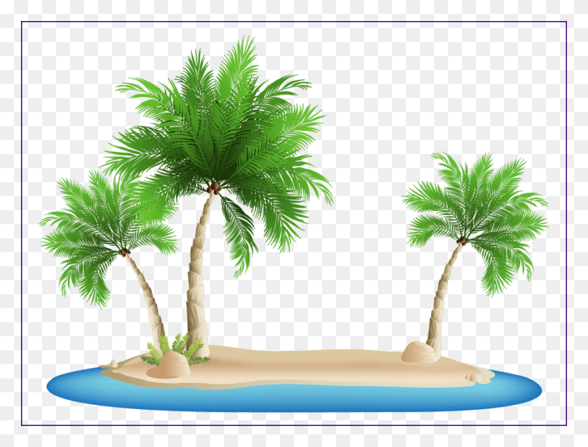 908x674 Shocking Palm Image Palm Tree Island, Tree, Plant, Arecaceae HD PNG Download