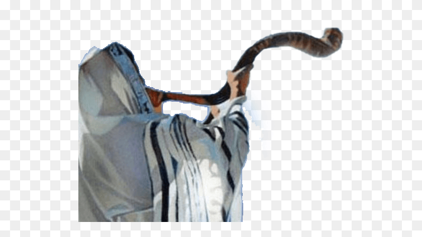530x413 Shofar Blowing Pic Fall Feasts Of The Lord, Person, Human, Animal HD PNG Download