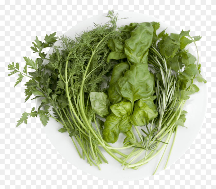 1413x1226 Shop Just Vertical Herblicious Chefpng Parsley, Plant, Vase, Jar HD PNG Download
