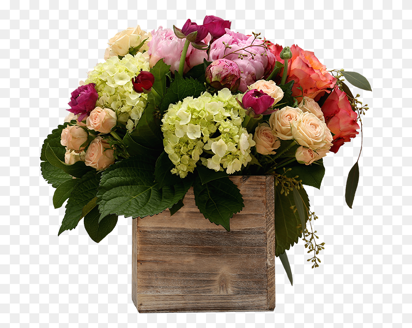 679x610 Shop Now Bouquet, Plant, Floral Design, Pattern HD PNG Download