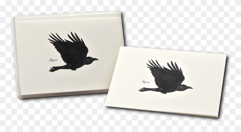 1148x591 Shopping Cart, Bird, Animal, Crow HD PNG Download