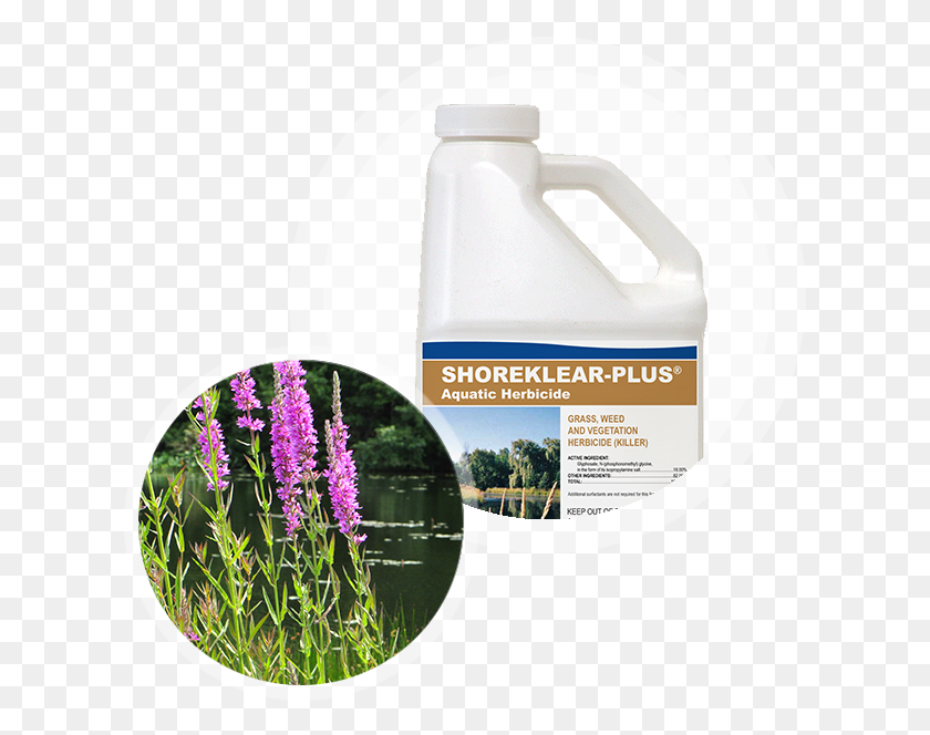 618x604 Shoreklear Plus Aquatic Herbicide Container Next To Red Clover, Plant, Flower, Blossom HD PNG Download