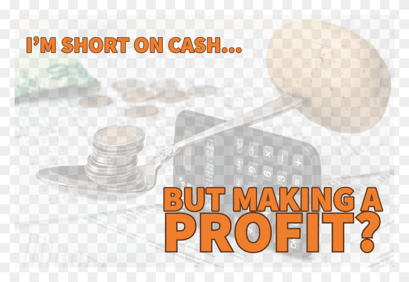 1000x667 Short Cash Profit, Egg, Food, Plant HD PNG Download