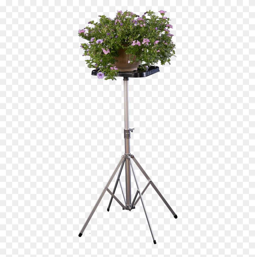 330x788 Short Deluxe Stand With Large Top Featuring Flower Artificial Flower, Tripod HD PNG Download