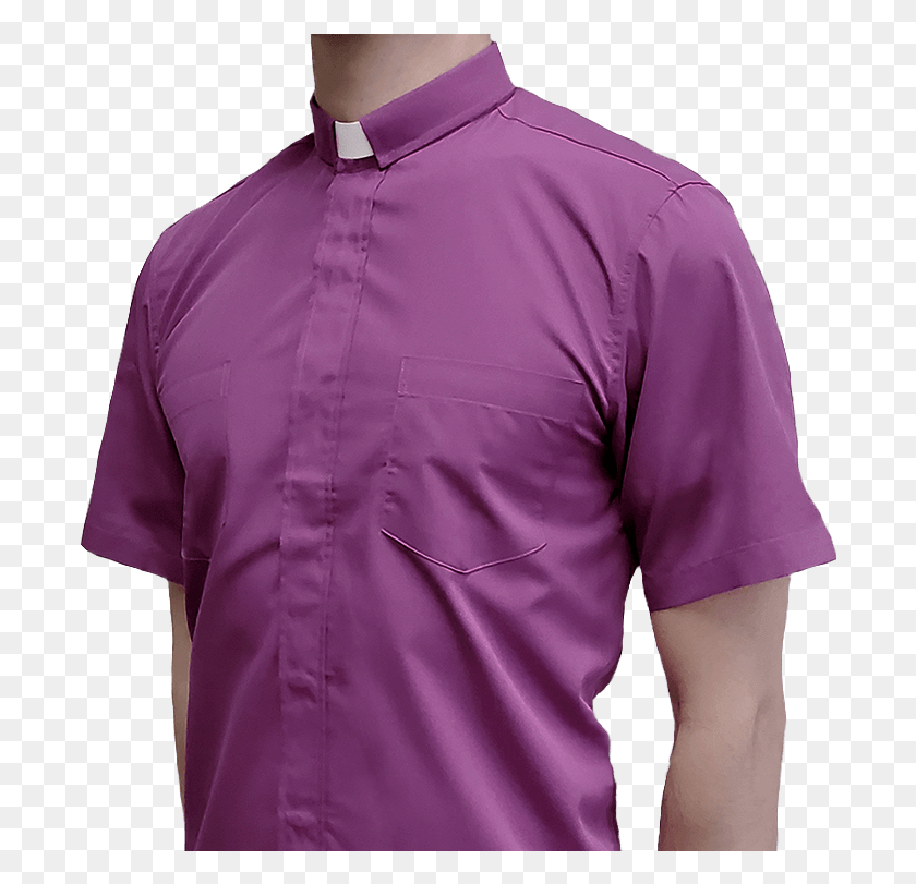 695x751 Short Sleeve Purple Polo Shirt, Clothing, Apparel, Person HD PNG Download