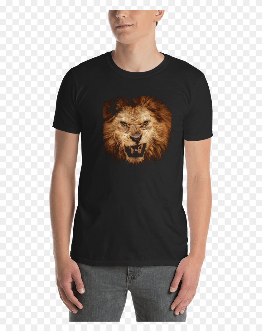 527x1001 Short Sleeve Unisex T Shirt Advent Of Bedlam Human Portal Phenomenon, Person, Wildlife, Animal HD PNG Download