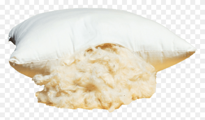1302x720 Short Video Of How White Lotus Home Natural Fiber Pillows Jellyfish, Burrito, Food, Fungus HD PNG Download