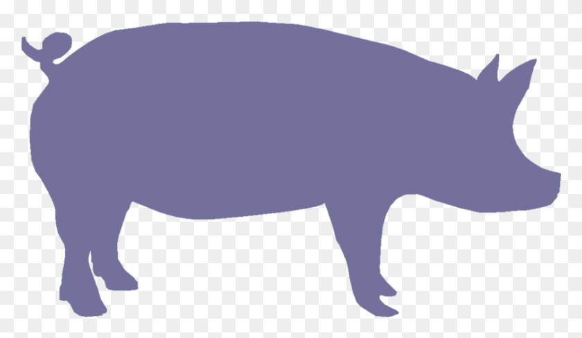 842x463 Show Pig Silhouette Blue Pig Silhouette, Wildlife, Animal, Mammal HD PNG Download