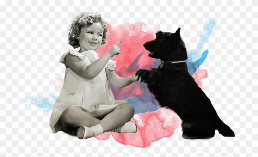 691x454 Показать Поддержку Для Животных Черная Кошка, Собака, Домашнее Животное, Собак Hd Png Скачать