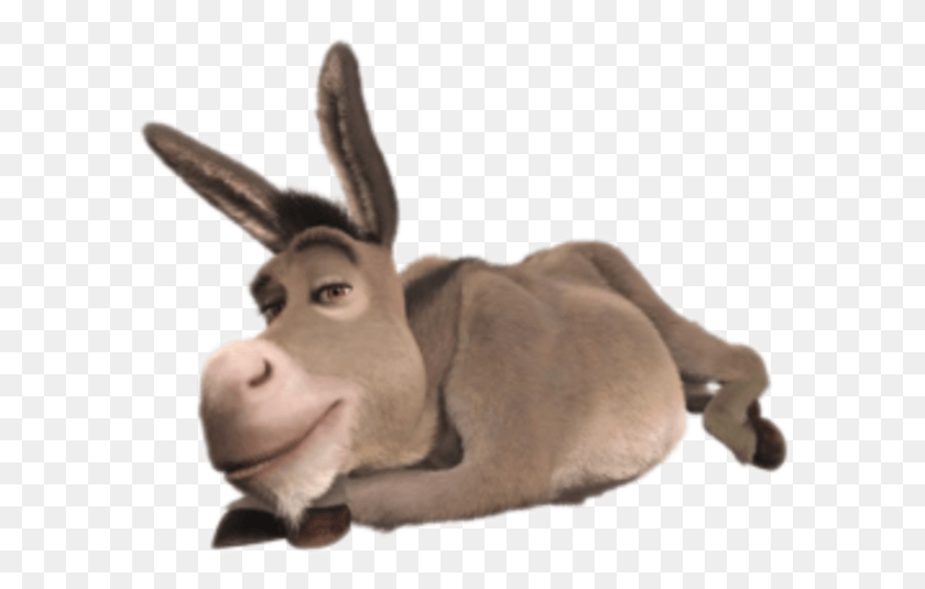598x475 Shrek Clipart Animated Donkey Shrek Laying Down, Mammal, Animal, Person HD PNG Download