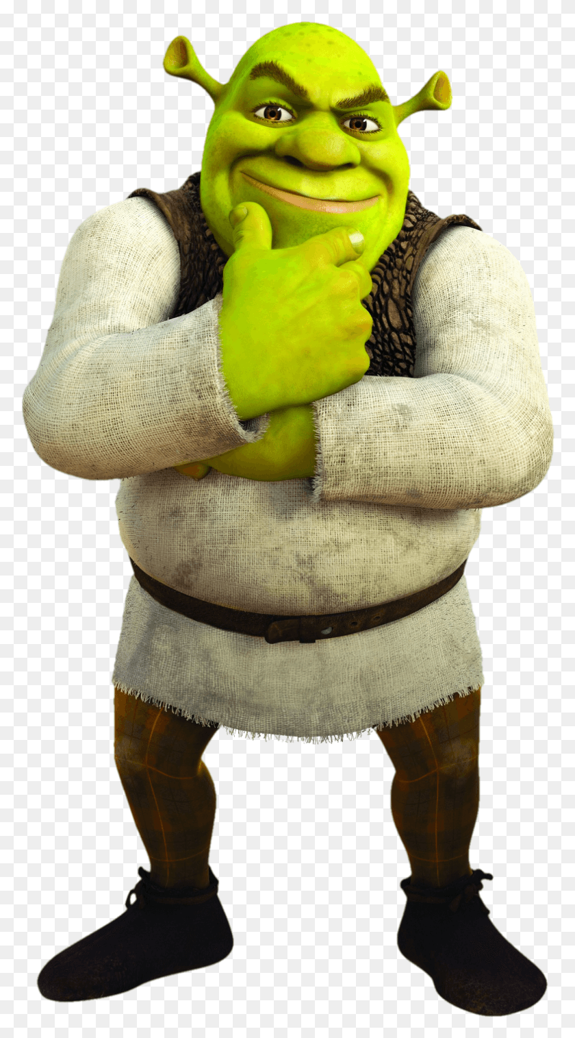 785x1465 Shrek Shrek Transparent Background, Clothing, Apparel, Person HD PNG Download