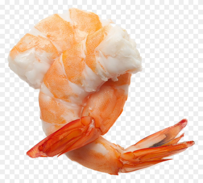 1882x1681 Shrimps Shrimp, Seafood, Sea Life, Food HD PNG Download