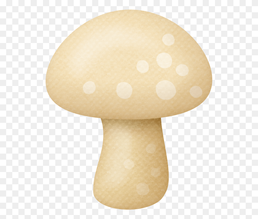 545x653 Shrooms Pleurotus Eryngii, Plant, Mushroom, Fungus HD PNG Download