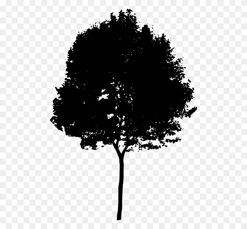 500x720 Shrub Bushes Clipart Old Tree Tree Silhouette, Gray, World Of Warcraft HD PNG Download