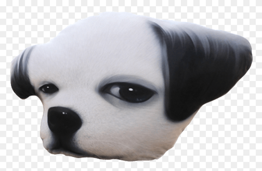 783x491 Siberian Husky Pillow Dog Head Creative Cute Plush Panda, Head, Animal, Mammal HD PNG Download