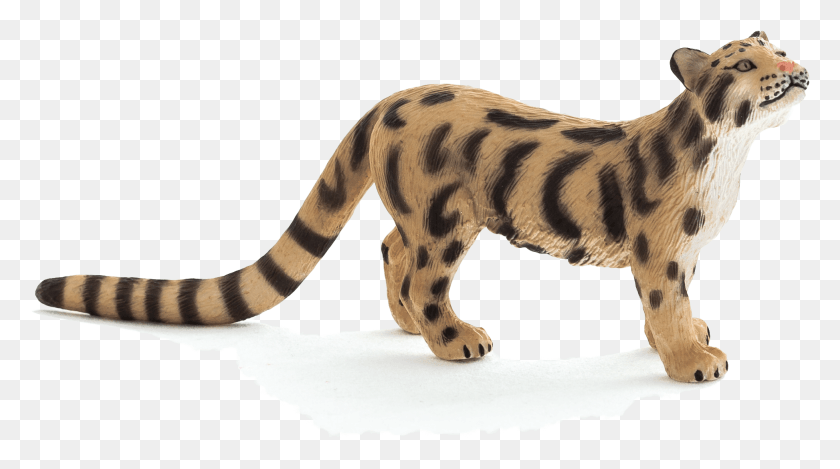 1946x1021 Сибирский Тигр, Дикая Природа, Животное, Млекопитающее Hd Png Скачать
