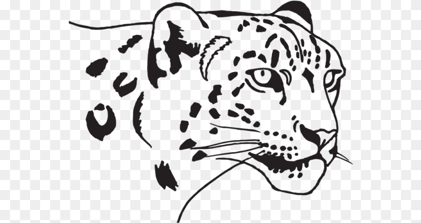 Siberian Tiger, Animal, Mammal, Panther, Wildlife Clipart PNG