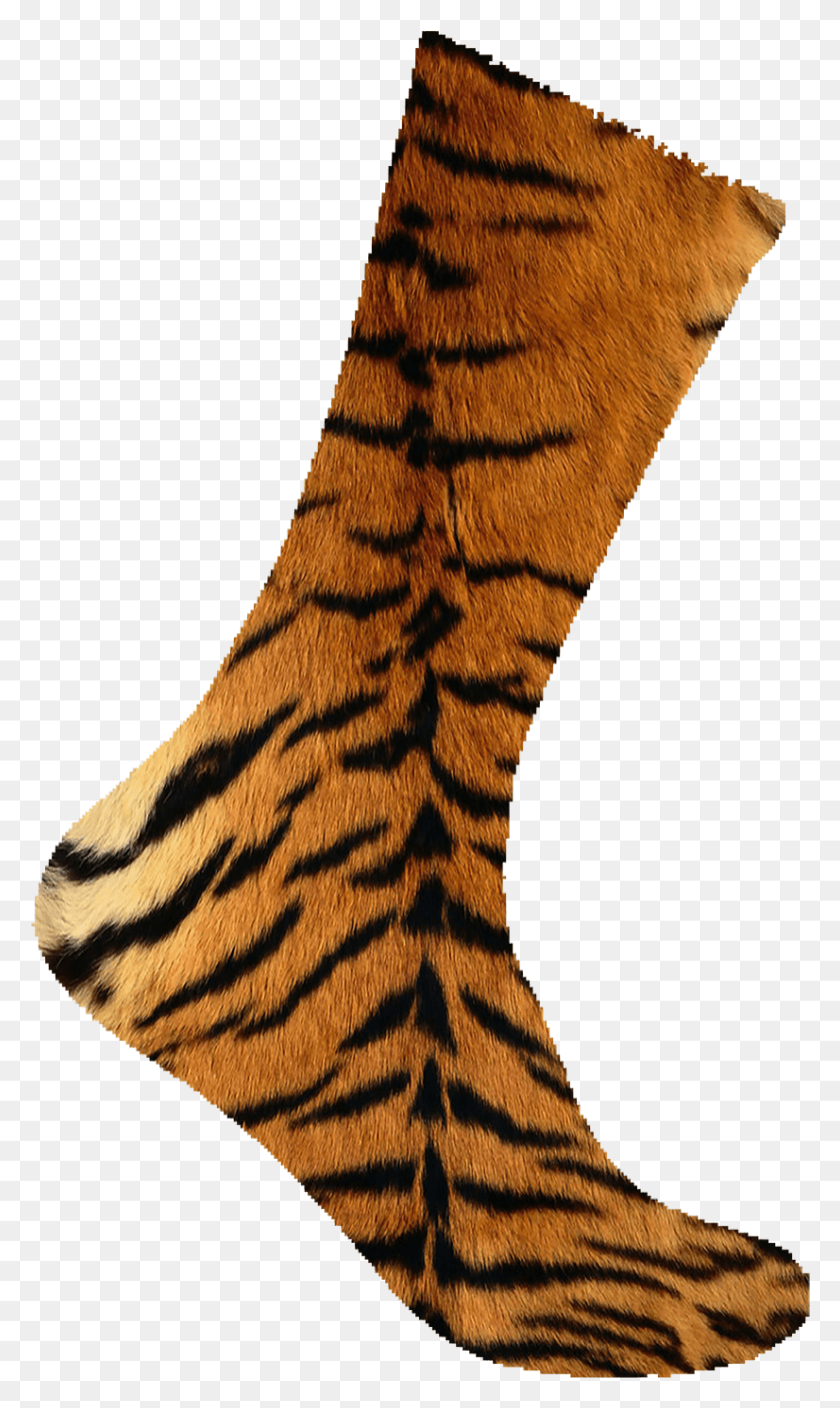 826x1427 Tigre Siberiano Estampado De Piel De Tigre, Ropa, Talón, Talón Hd Png