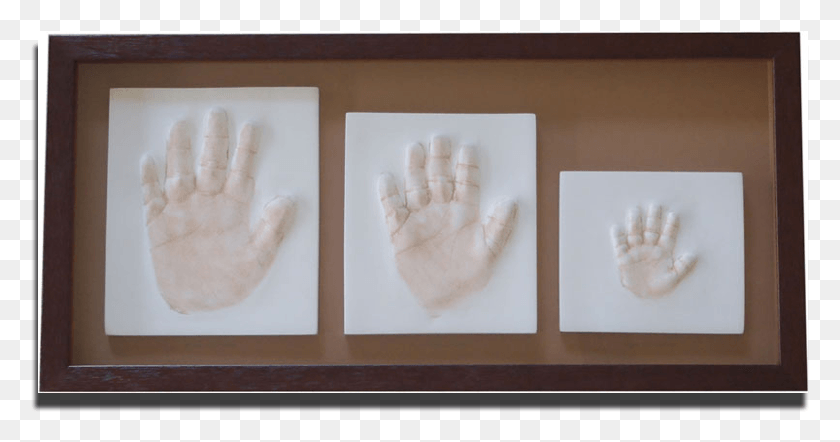 779x382 Sibling Hand Prints Plywood, Finger, Hook, Anemone HD PNG Download