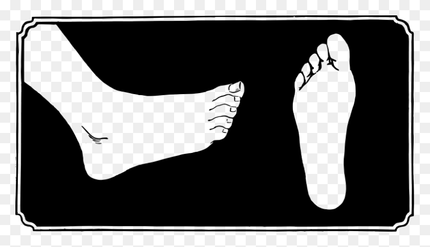 800x434 Side Medium Image Clip Art Foot, Gray, World Of Warcraft HD PNG Download