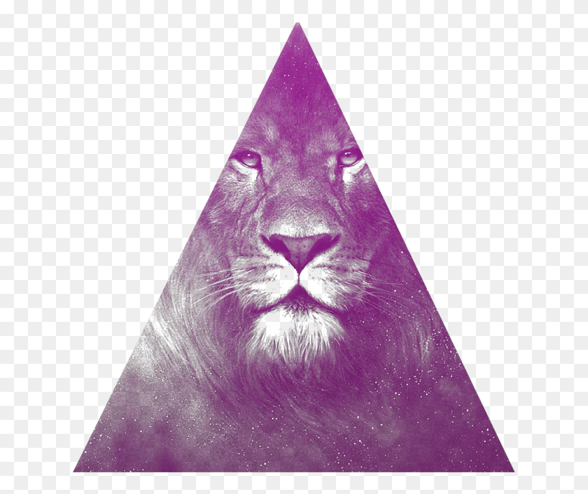 633x646 Significado Do Triangulo Chronicles Of Narnia The Lion The Witch And The Wardrobe, Triangle, Cone HD PNG Download
