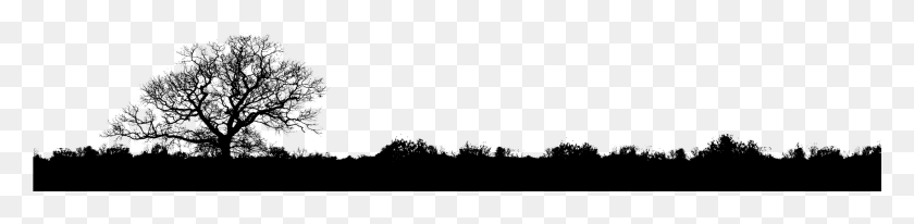 Silueta, Al Aire Libre, La Naturaleza, La Astronomía Hd Png
