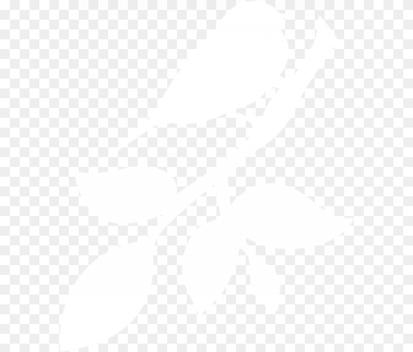 600x717 Silhouette, Leaf, Plant, Stencil, Adult Transparent PNG