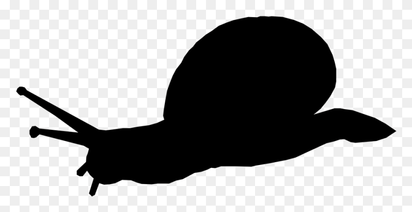 920x441 Silhouette Animal Snail Silhouette Transparent Background, Clothing, Apparel HD PNG Download