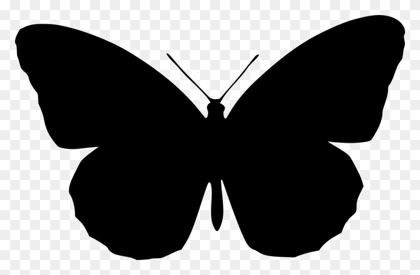 1024x644 Silhouette Butterfly Clip Art, Gray, World Of Warcraft HD PNG Download