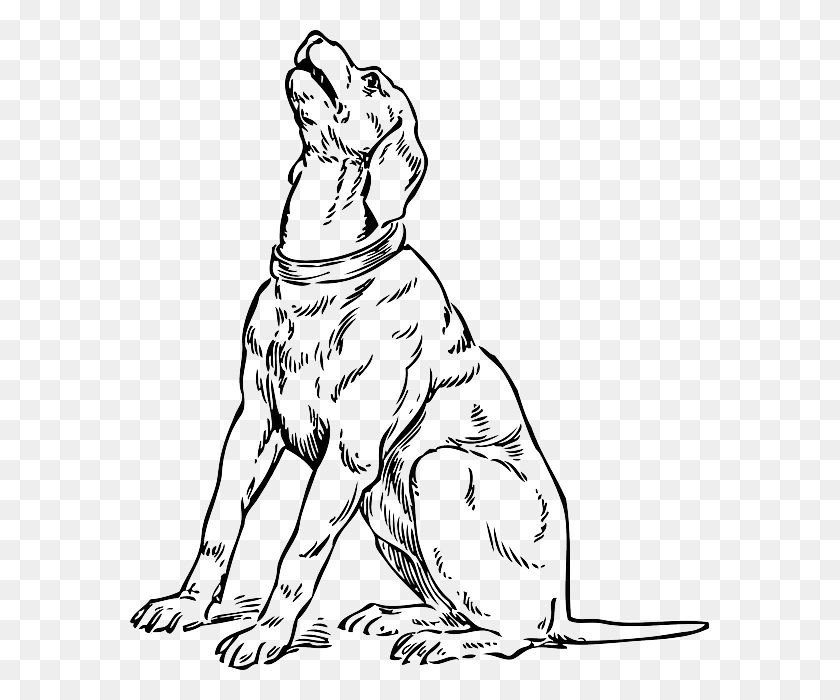 579x640 Silhouette Cartoon Dog Dogs Sitting Barking Pet Dog Looking Up Drawing, Animal, Canine, Mammal HD PNG Download