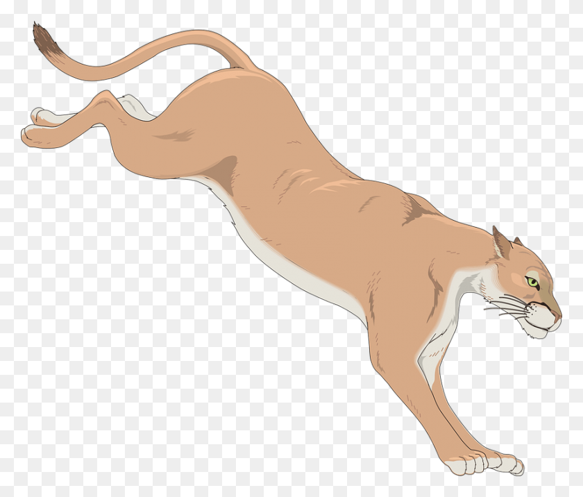 856x720 Silhouette Clipart Mountain Lion Cougar Clip Art, Mammal, Animal, Wildlife HD PNG Download