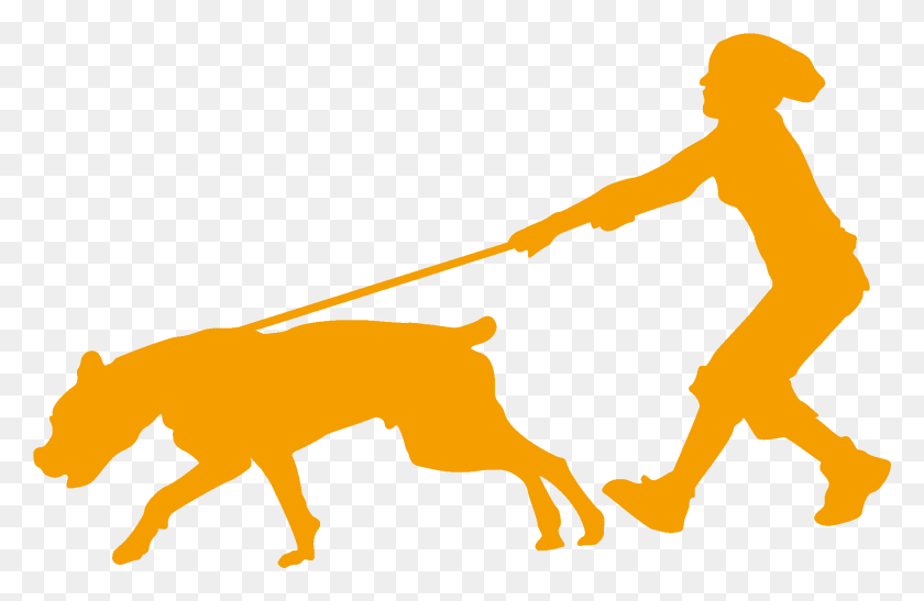 1811x1133 Silueta De Perro Caminando En Getdrawings Humano Caminando Silueta, Persona, Animal, Mamífero Hd Png