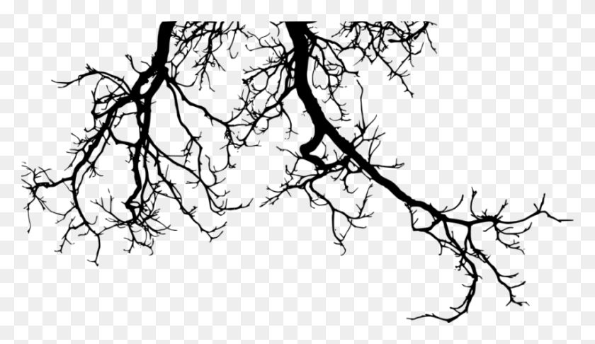 850x465 Silhouette Free Images Toppng Transparent Tree Branches Silhouette, Plant, Green HD PNG Download
