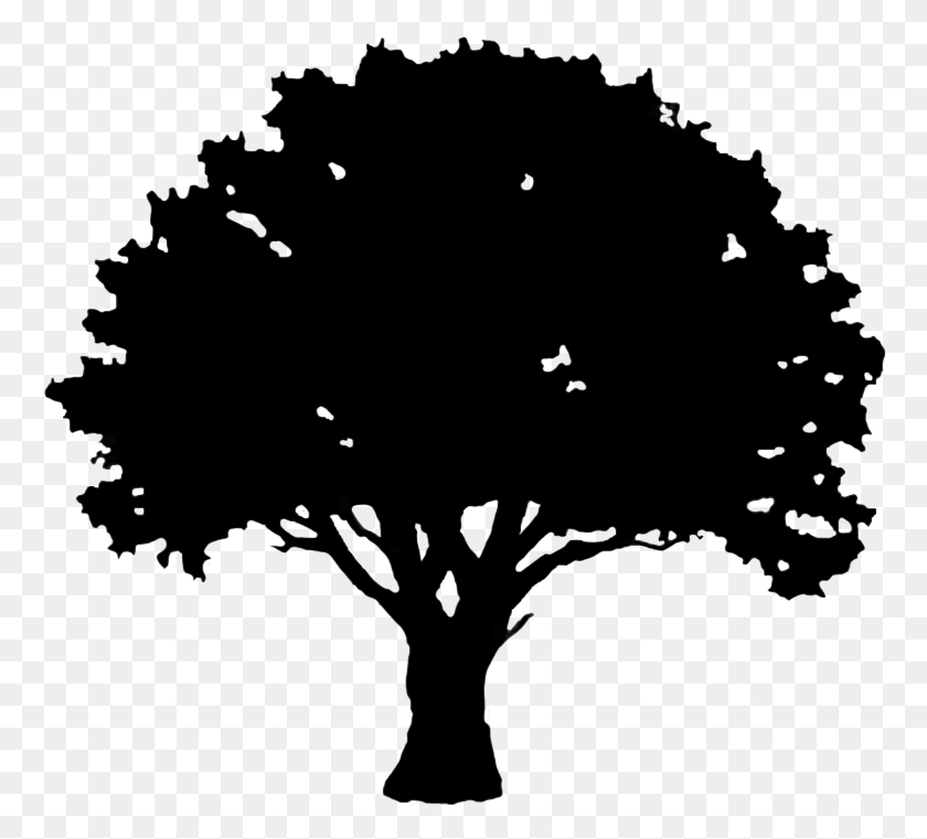 767x701 Silhouette Graphics Svg Library Stock Tree Silhouette Clipart, Tree, Plant HD PNG Download