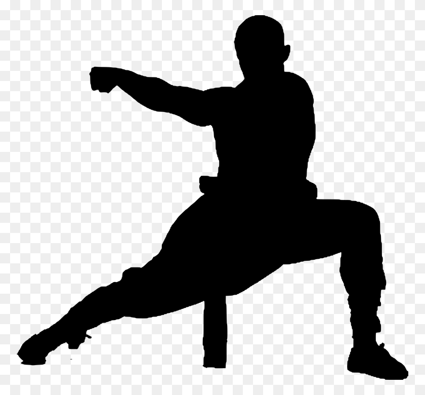 774x720 Silhouette Kung Fu Wushu Shaolin Action Active Kung Fu Silhouette, Gray, World Of Warcraft HD PNG Download