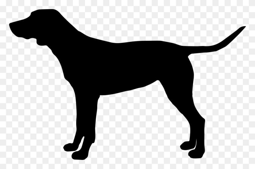 960x612 Silhouette Of A Greyhound, Gray, World Of Warcraft HD PNG Download