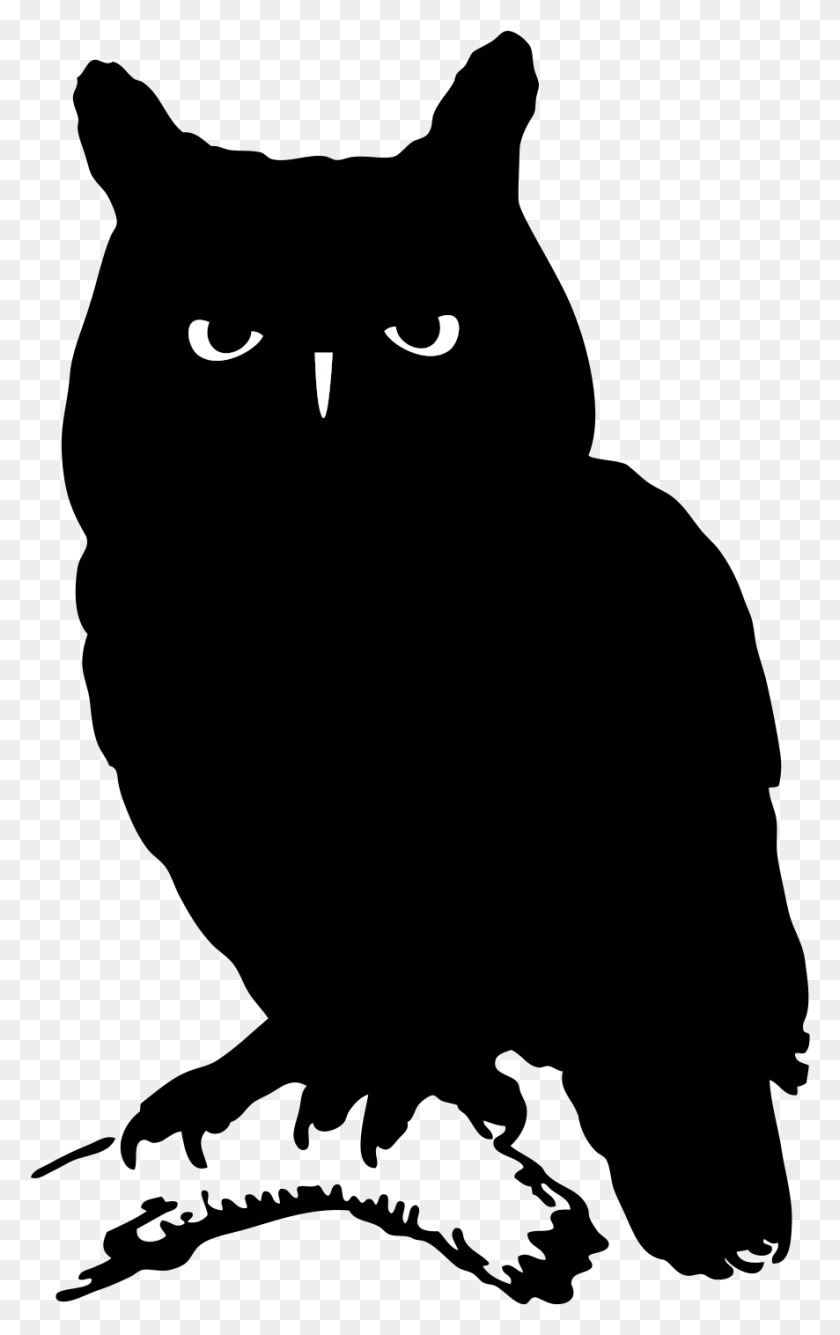 886x1449 Silhouette Of An Owl Owl Silhouette, Outdoors, Nature, Text HD PNG Download