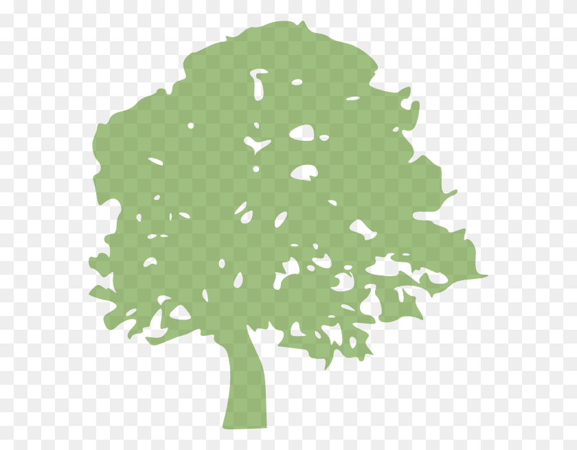 582x595 Силуэт Деревьев Svg, Растение, Дерево, Зеленый Hd Png Скачать