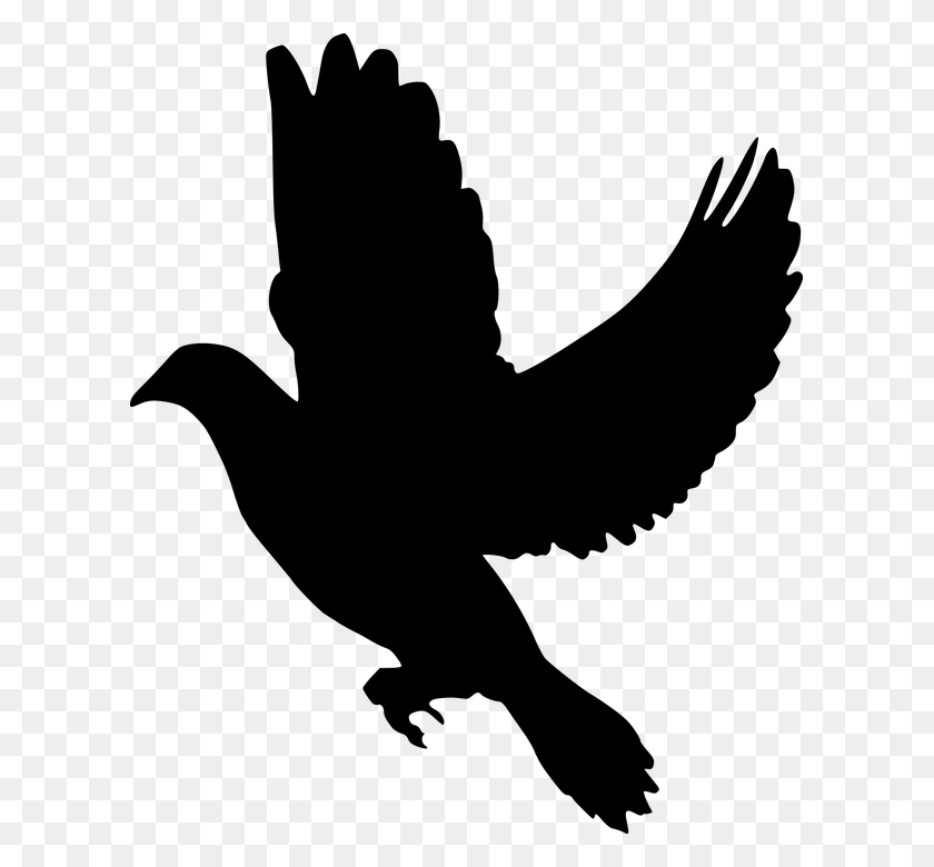 605x720 Silhouette Peace Dove Flying Olive Branch Symbol Dove Wings Silhouette, Gray, World Of Warcraft HD PNG Download