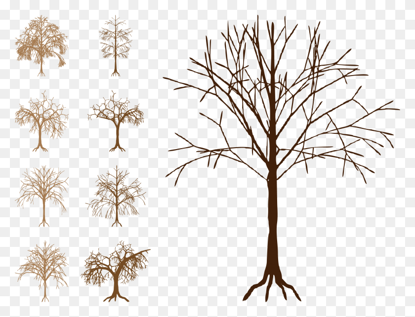 2434x1819 Silhouette Tree Trunk Clip Art Silhouette Tree Vector Free, Plant, Root, Tree HD PNG Download