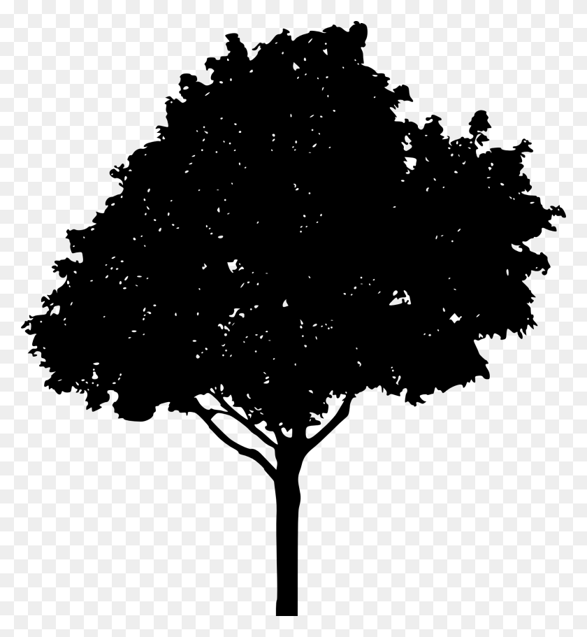 1832x2000 Silhouettes Background Onlygfx Com Free Simple Oak Tree Silhouette, Tree, Plant HD PNG Download
