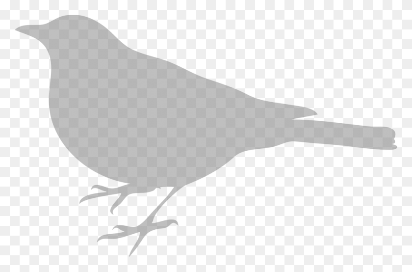 960x608 Silueta Pajaro Bird Silhouette Clip Art, Animal, Bird, Text HD PNG Download