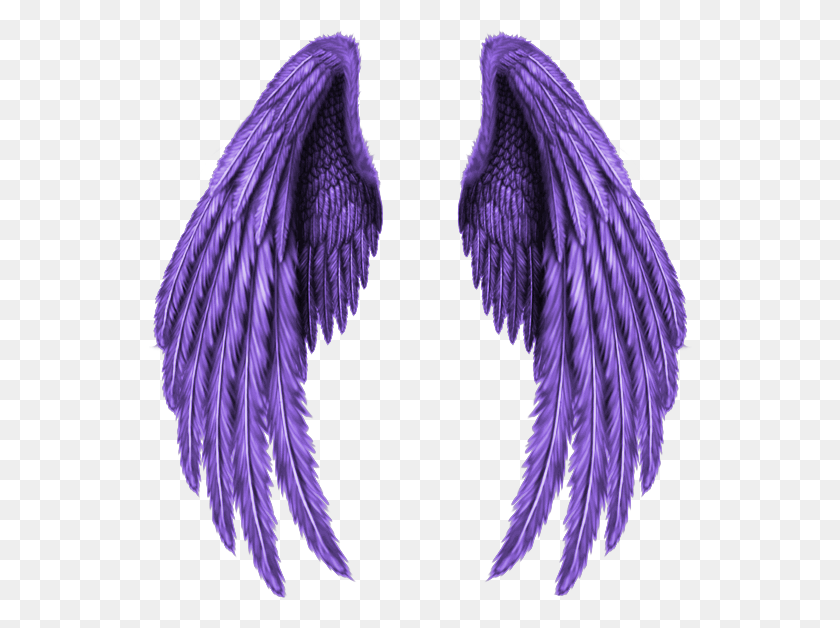 544x568 Silver Angel Wings Drawing, Clothing, Apparel, Accessories HD PNG Download
