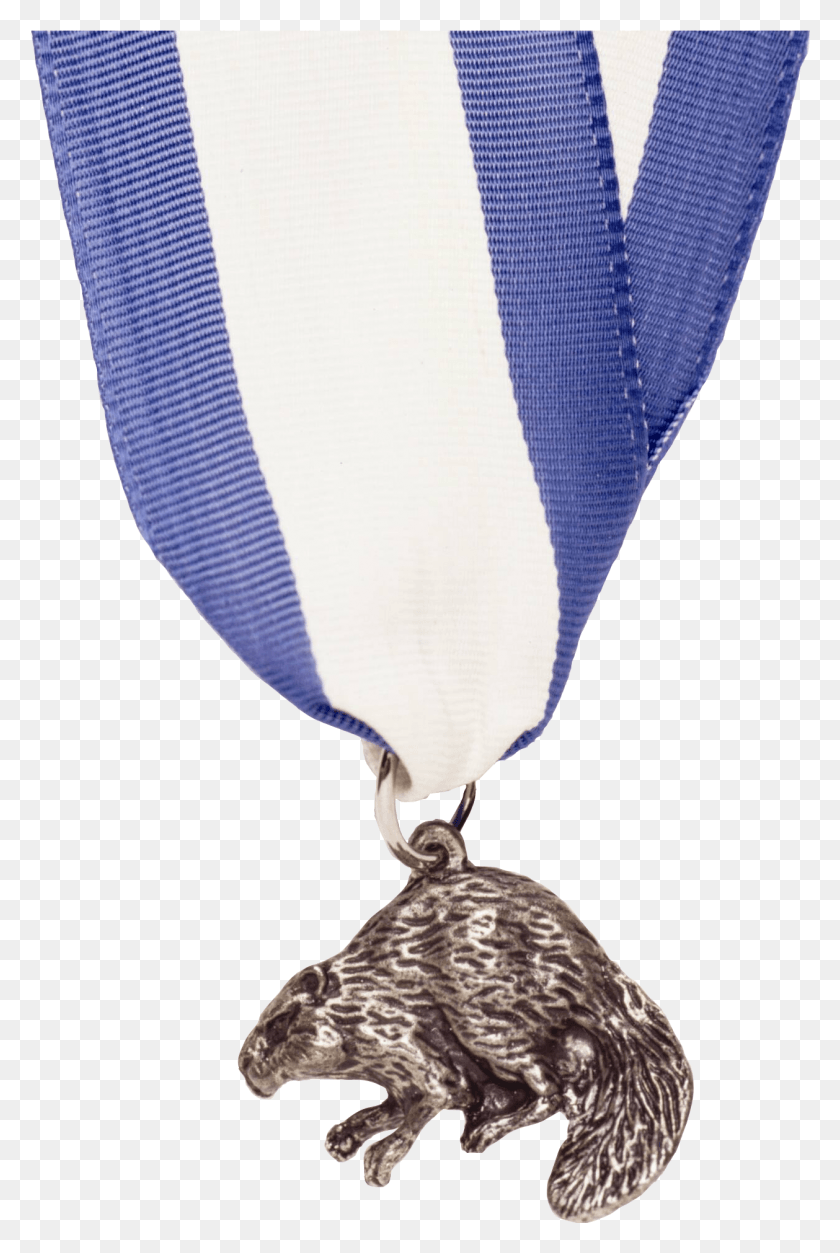 1258x1925 Серебряная Медаль Бобра, Бойскауты, Серебряные Бобры, Png Скачать