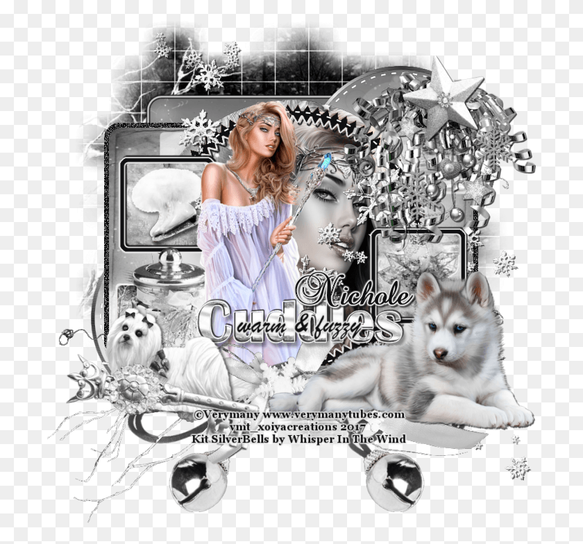 704x724 Silver Bells By Whisper In The Wind Miniature Siberian Husky, Collage, Poster, Advertisement HD PNG Download