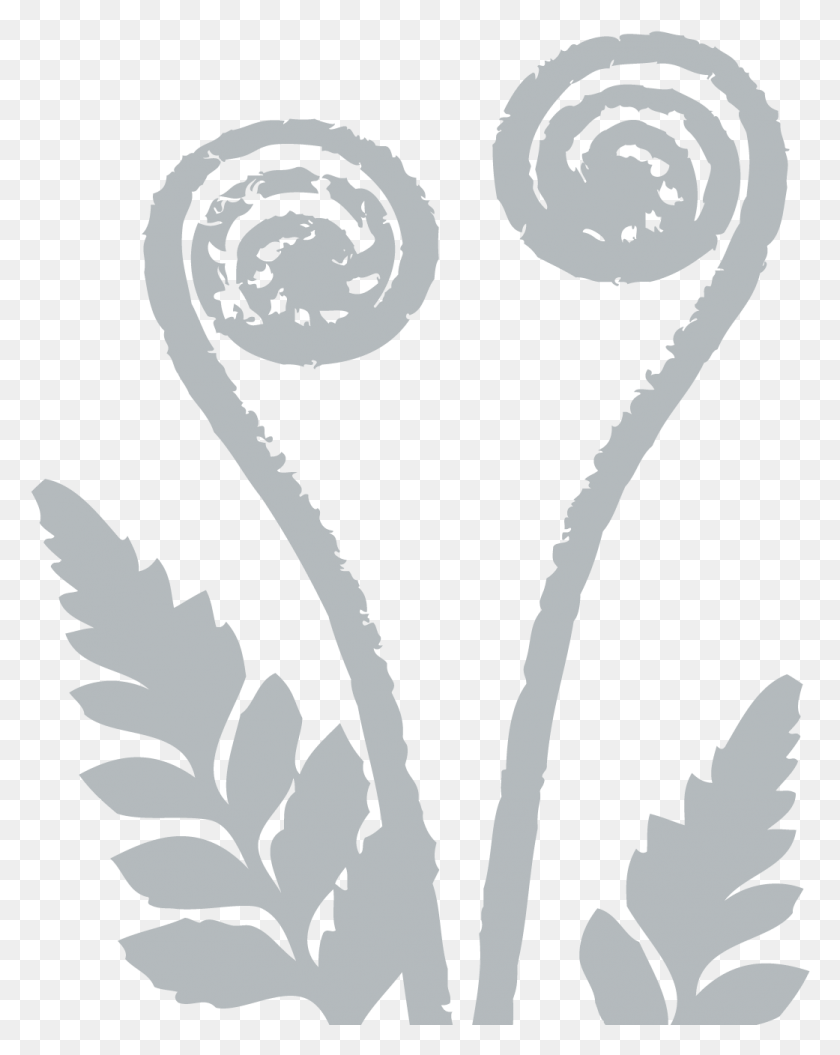 1041x1328 Silver Fern Illustration, Pattern, Graphics HD PNG Download