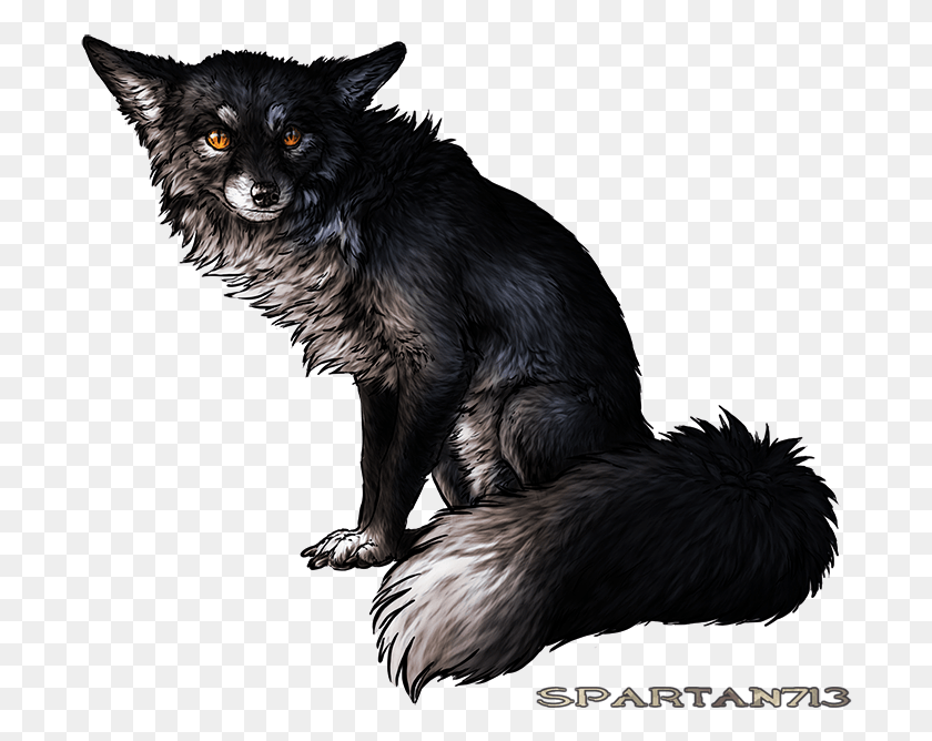 696x608 Silver Fox, Dog, Pet, Canine HD PNG Download