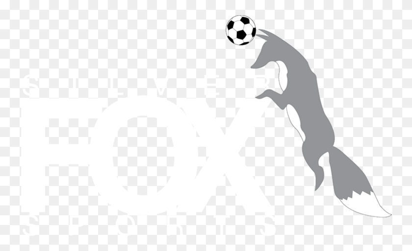 758x453 Silver Fox Sports Coaching Have Currently Called A Graphic Design, Soccer Ball, Ball, Soccer HD PNG Download